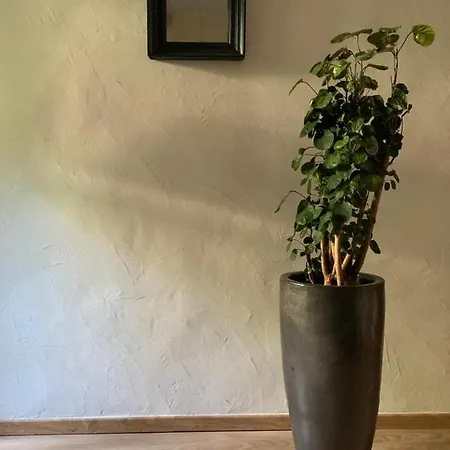 Le Patio D'arles Bed & Breakfast 2*